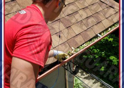 Gutter Cleaning Chicago Fall Dump