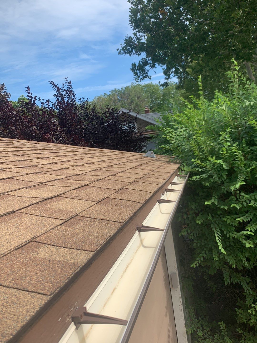 gutter-cleaners-for-the-late-summer-season-guaranteed-gutters