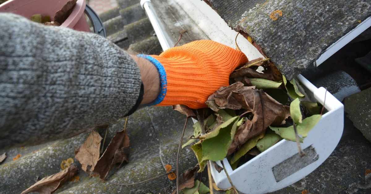 Cleaning Gutter