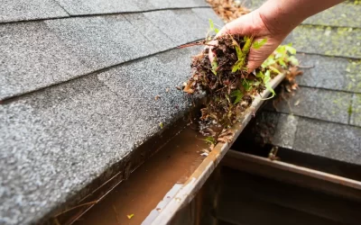 Why is Gutter Cleaning Important?