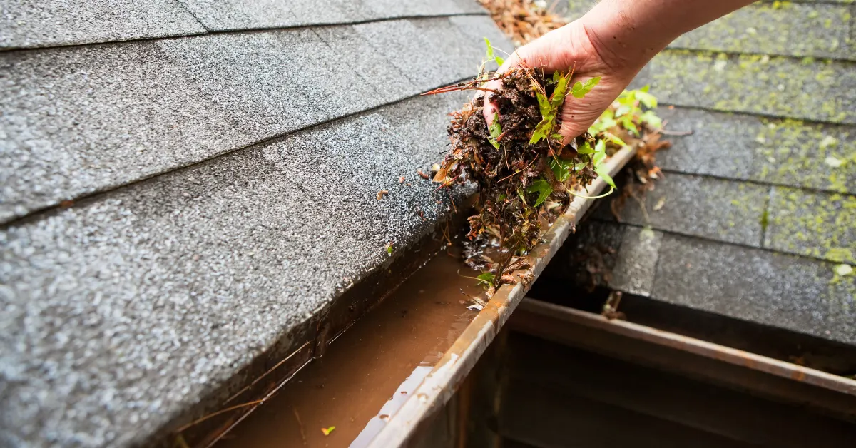 Cleaning Gutter