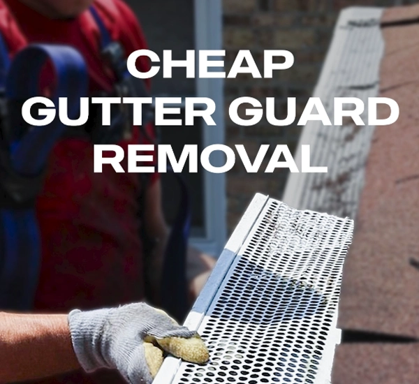 Gutter Guard Removal