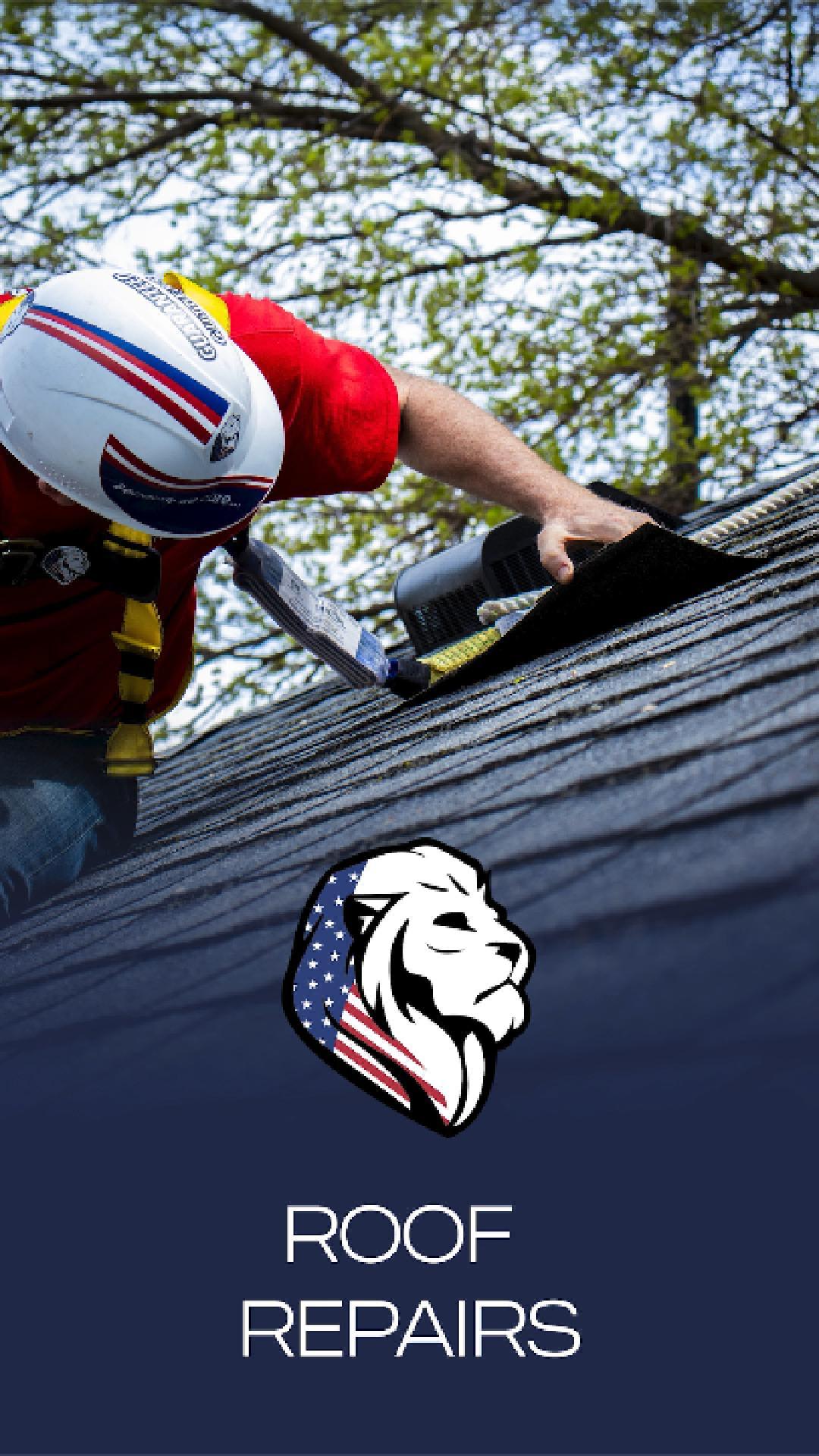 Our Roof Repairs-Maintenance Explained (ALL 6 SKUS)