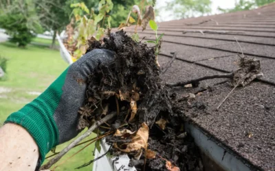 When is the Best Time for Gutter Cleaning
