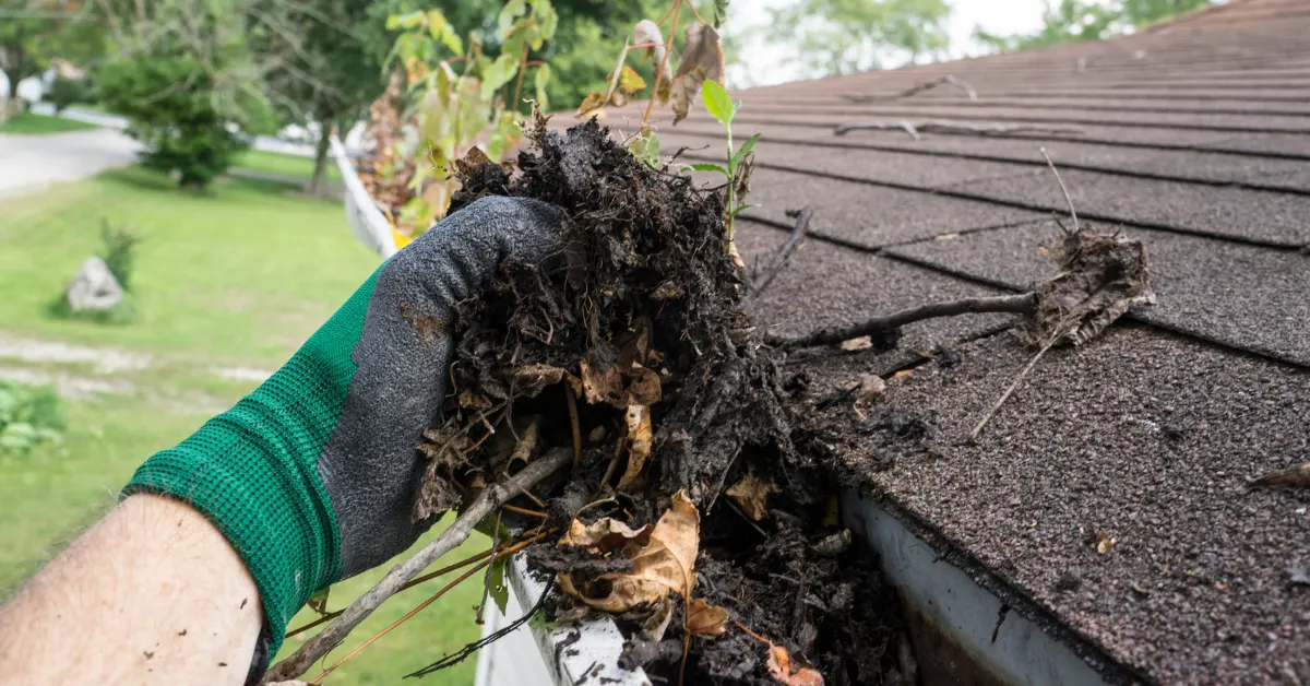 Best Time For Gutter Cleaning