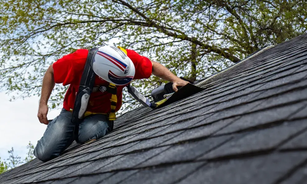 Roof Maintenance
