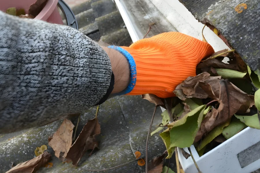 Gutter Cleaning