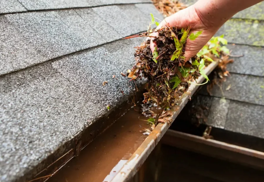 Professional Gutter Cleaning