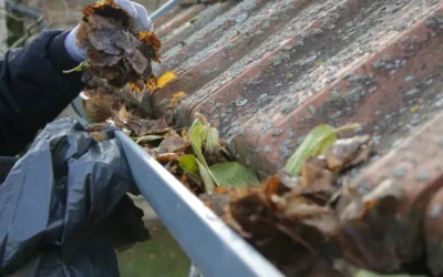 Why Professional Gutter Cleaning Services Matter in Chicago