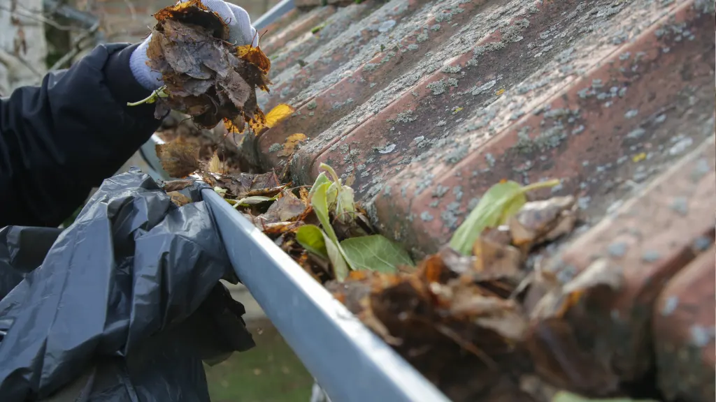 Professional Gutter Cleaning Services Chicago Professional Gutter Cleaning Services Chicago